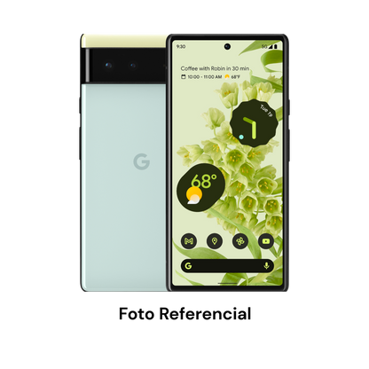 Google Pixel 6 128 GB Seminuevo Grado B